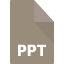 ppt13